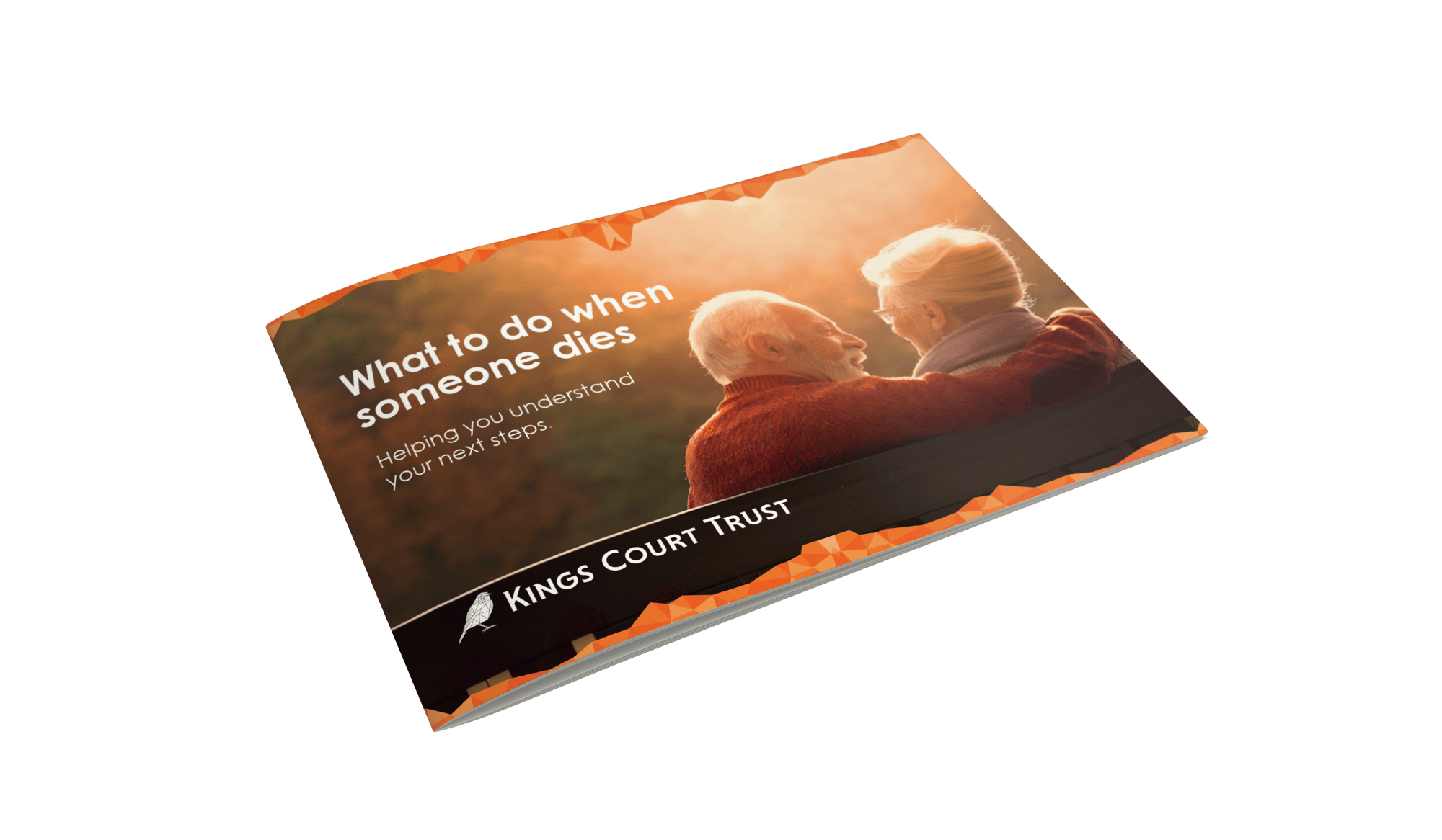WTDWSD-Mockup_HorizontalA5_Brochure_1