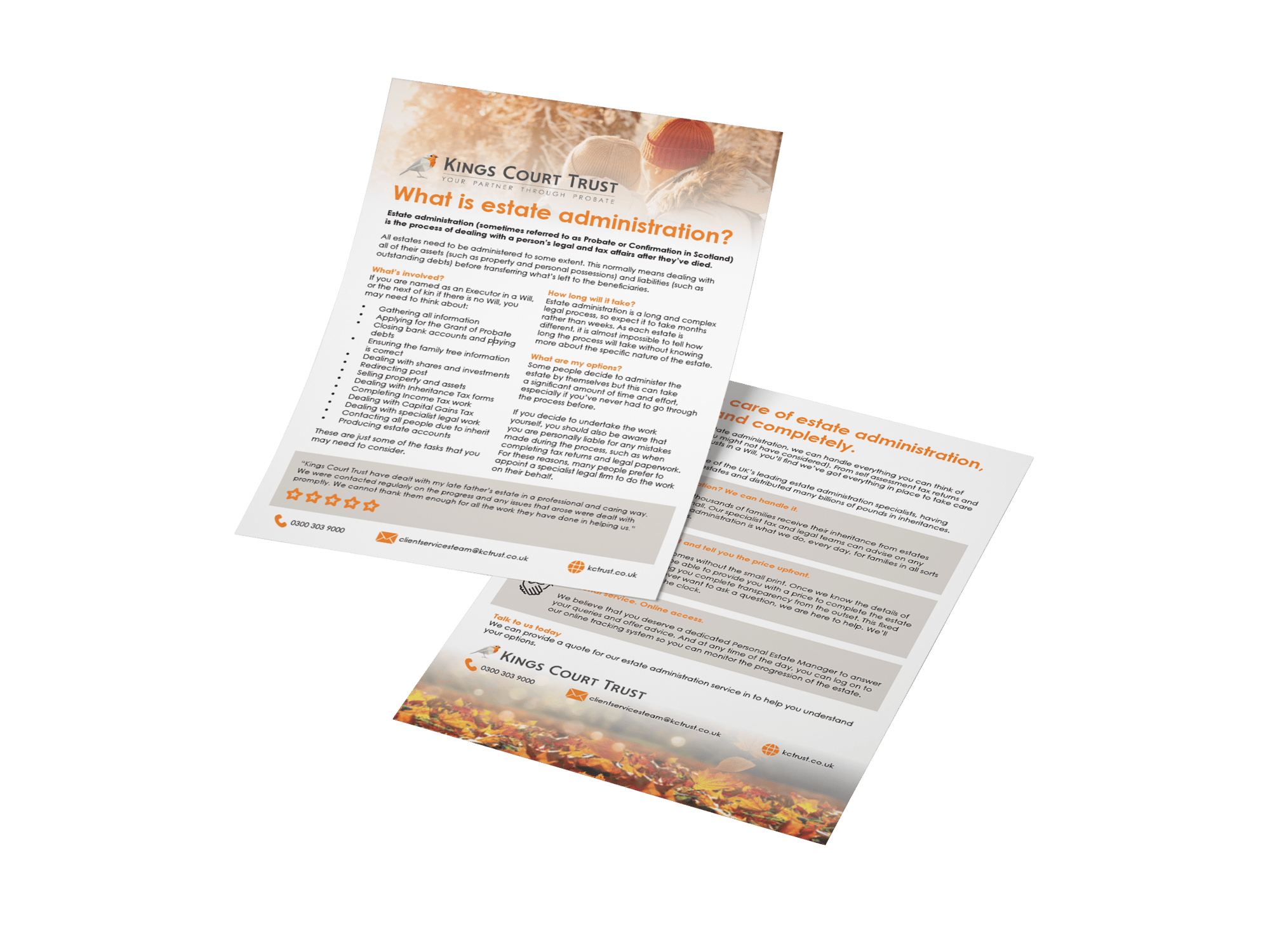 What is EA leaflet mockup - Double_Vertical_3