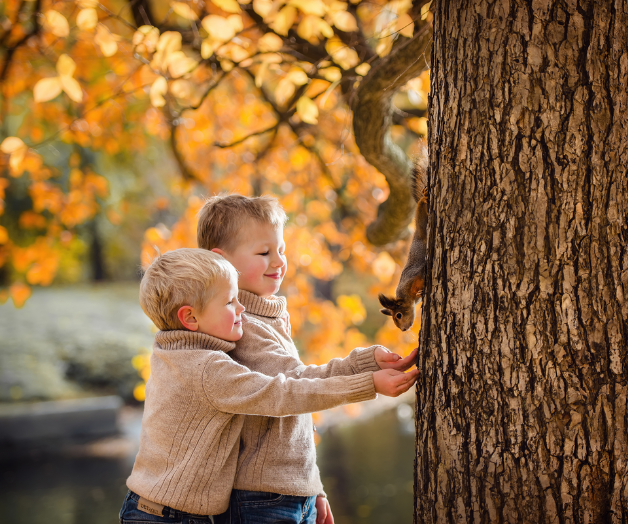 Home ownership explained 2