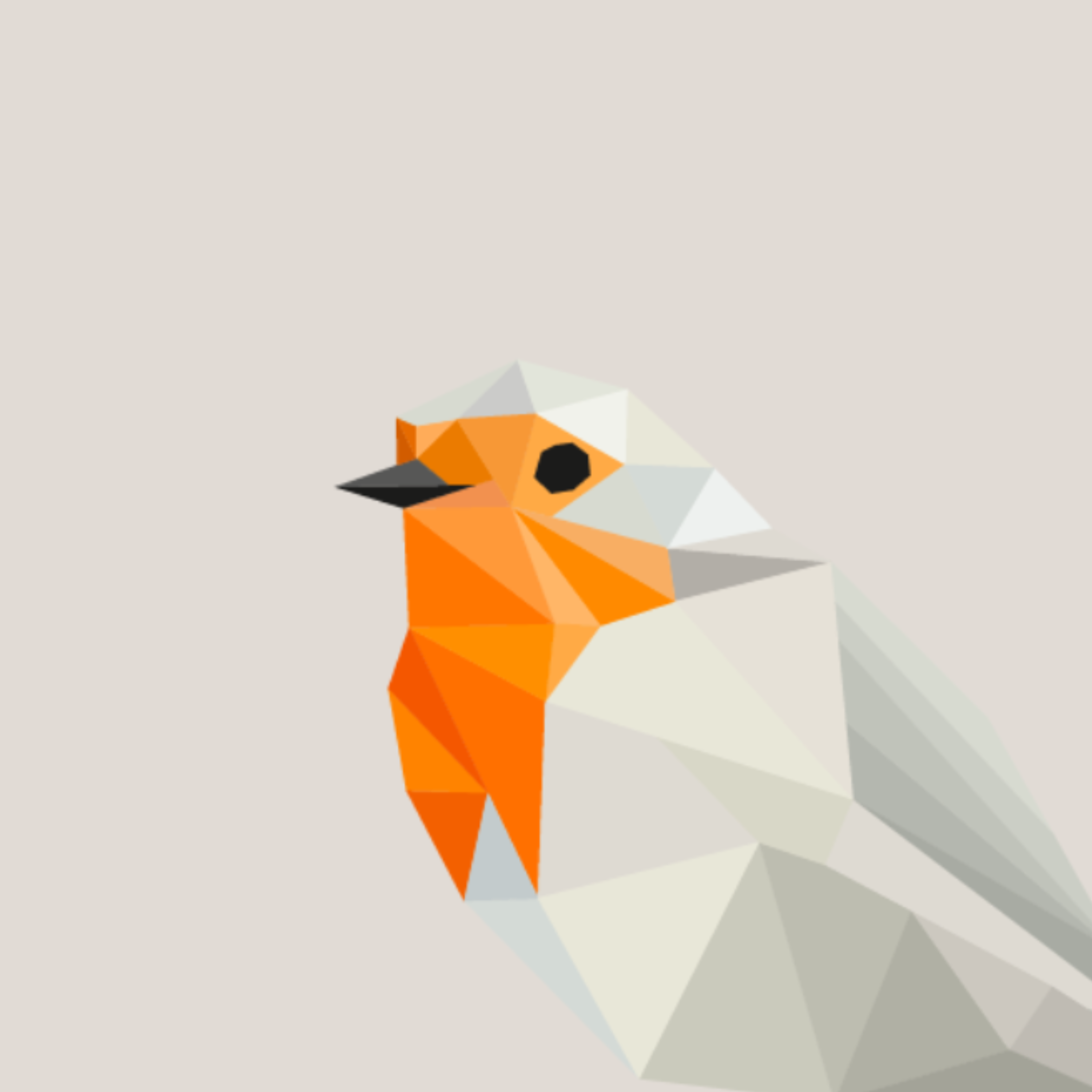 Paige Fytche-Crossman