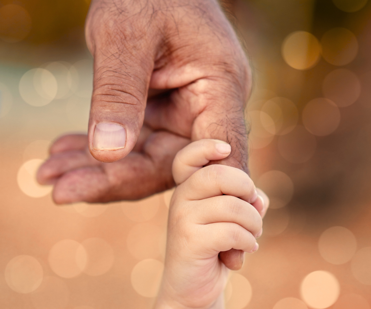 Child's hand holding the index finger of an adult