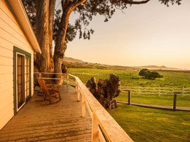 BPR, APR, and pensions: Draft Inheritance Tax changes explained image