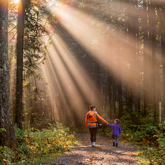 Mother and daughter holding hands in woods