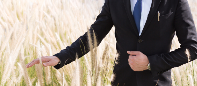 Business man in a crop field