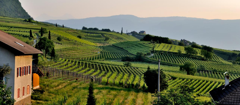 Image of farmland in the countryside