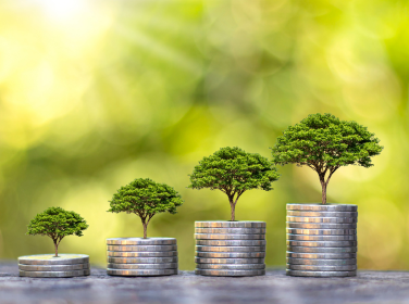 Intergenerational wealth transfers: The opportunity often overlooked by Advisers